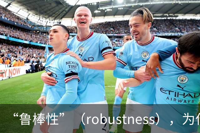 “鲁棒性”（robustness），为什么是糟糕的翻译？