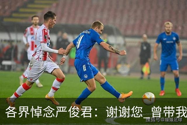各界悼念严俊君：谢谢您 曾带我们“看世界”
