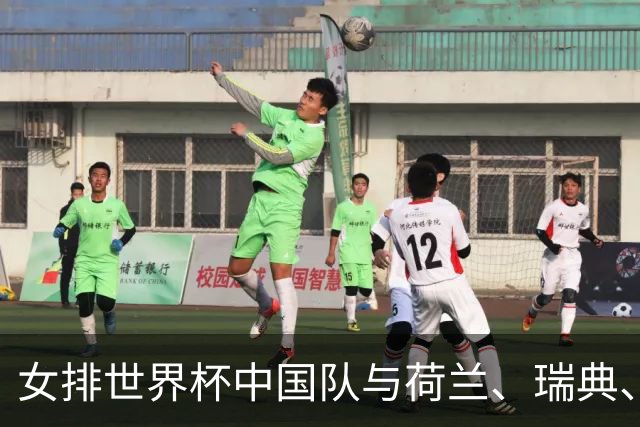 女排世界杯中国队与荷兰、瑞典、瑞士队同组