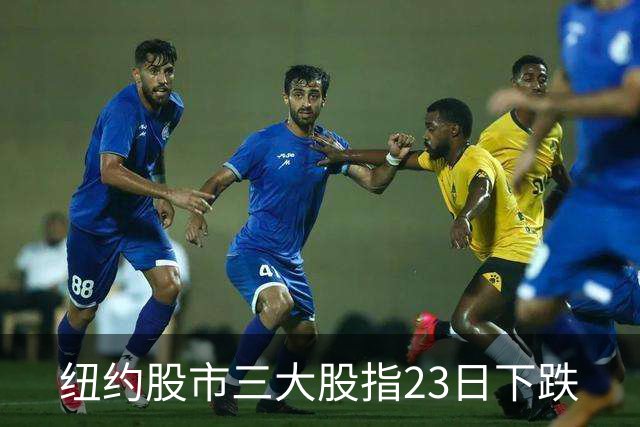 纽约股市三大股指23日下跌